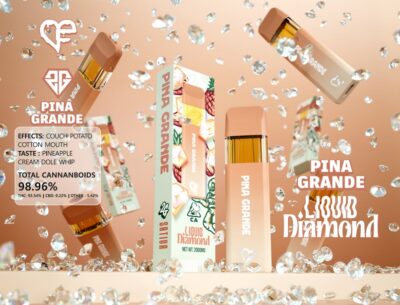 Pina Grande THC Vape Disposable with tropical pineapple flavor by ByFavorites